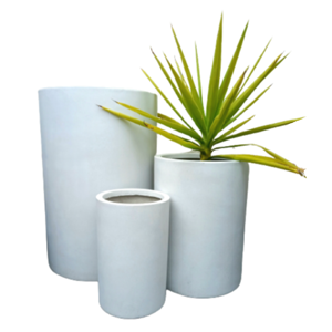 Cylinder White
